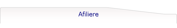 Afiliere